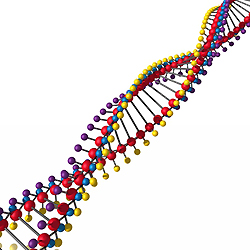 DNA from bright color spheres and rods