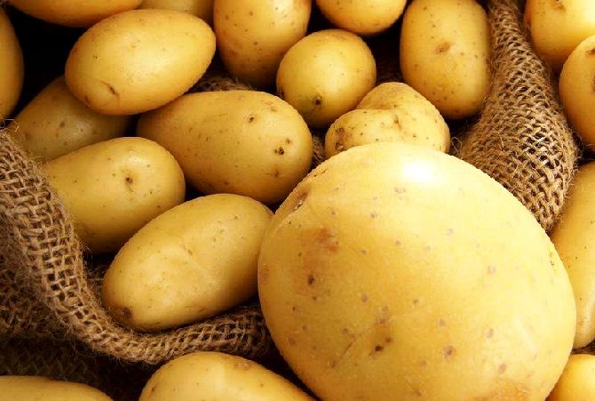 potato_1_result