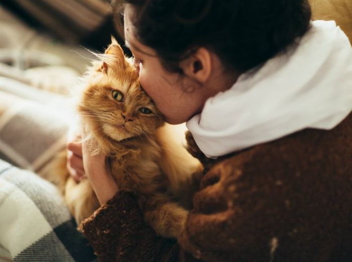 Почему кошки любят женщин больше, чем мужчин