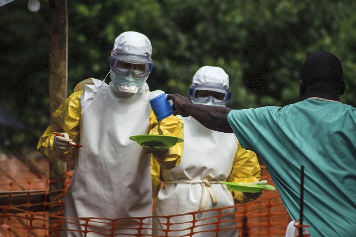 Эбола вернулась в Либерию