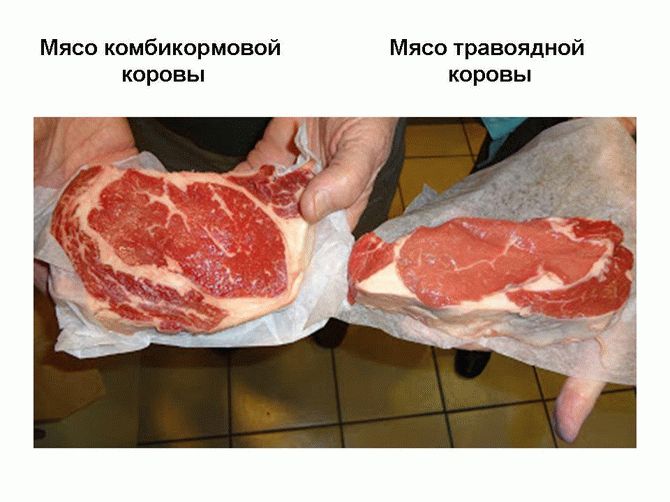 Как правильно выбирать мясо в магазине