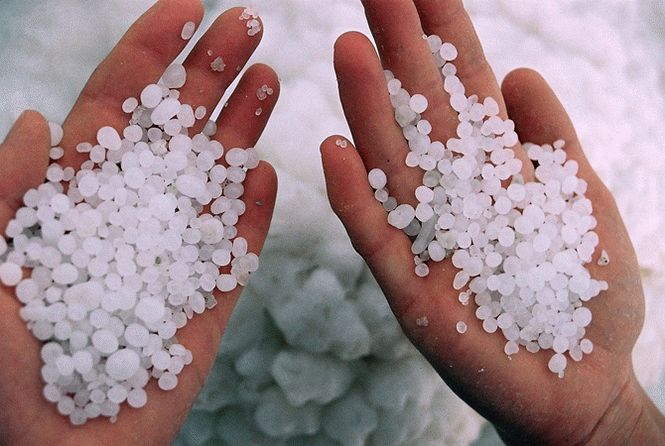 Ученые сделали сенсационное заявление о вреде соли на здоровье