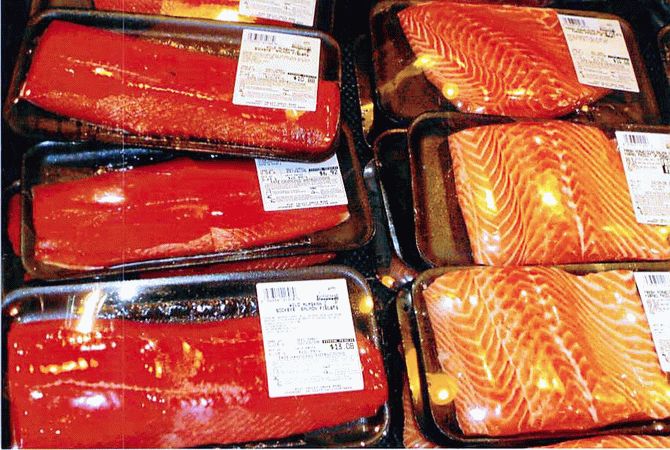 Почему норвежский лосось есть нельзя