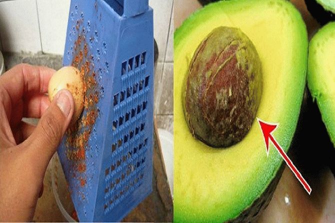 Почему не нужно выбрасывать семена авокадо