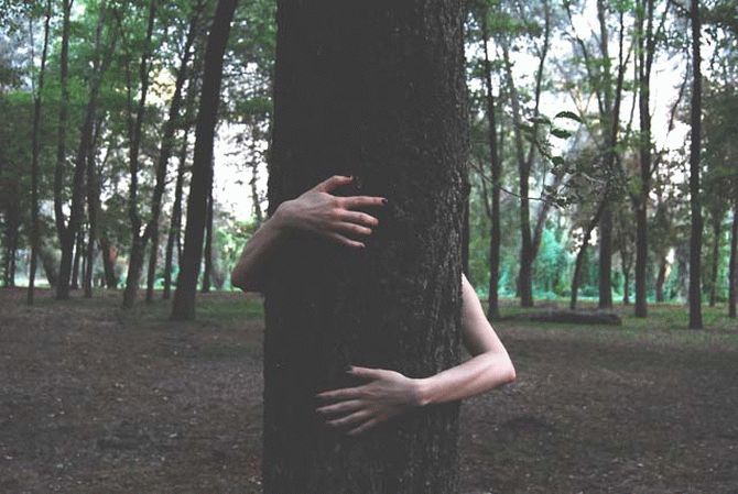 Врачи говорят, что вы должны обниматься с деревьями