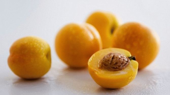 Страшная правда об абрикосовых косточках как средства против рака