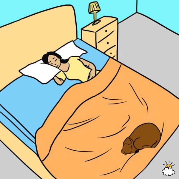 Хотите обрести душевный покой - спите в постели с собакой