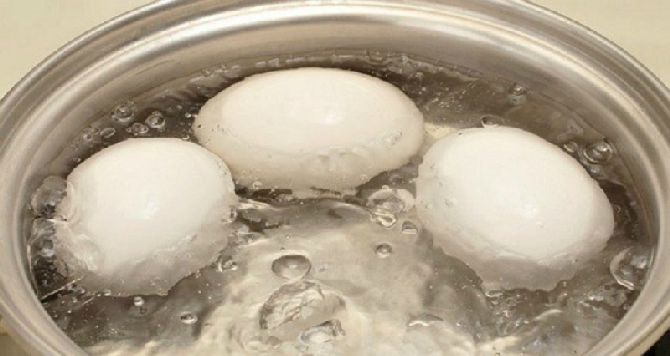 Как уменьшить уровень токсинов в организме с помощью всего лишь одного яйца