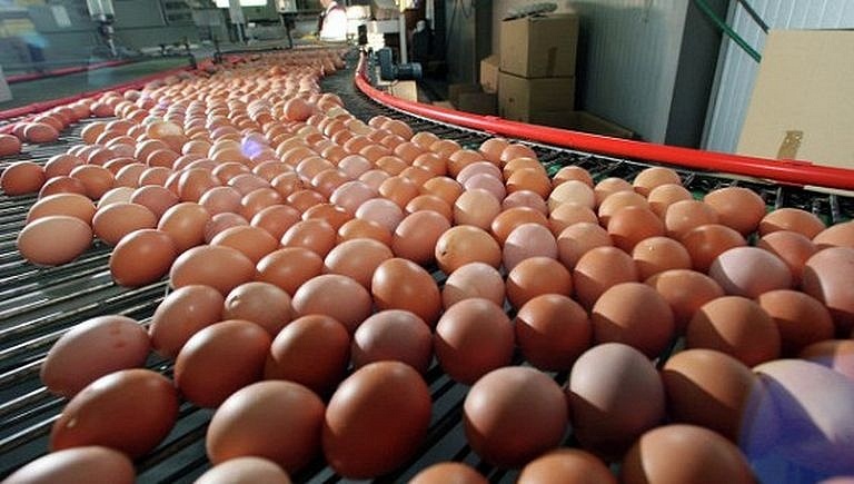 Как обычные куриные яйца могут предупредить инсульт