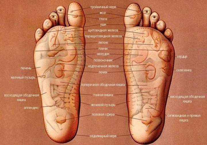 Эта полная карта покажет, какие части стопы необходимо массировать для исцеления определенного органа