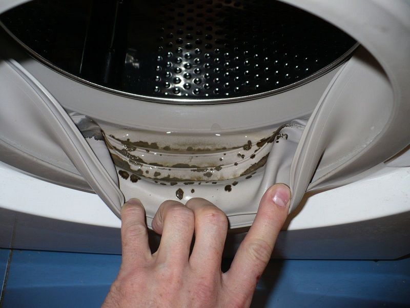 Доступные методы избавления от грибка и неприятного запаха в стиральной машине