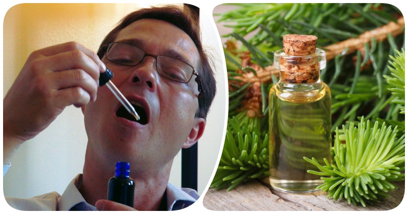 Капля на язык и вы здоровы: избавиться от кашля, простуды и боли в горле поможет пихтовое масло
