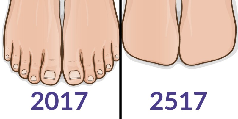 Пальцы на ноге и мужские соски больше не нужны: 10 частей тела человека, которые скоро исчезнут