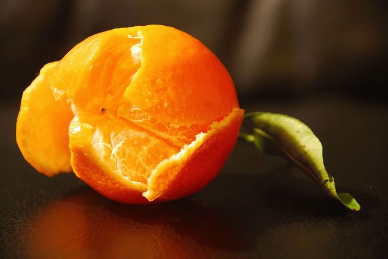 7 скрытых свойств мандариновой кожуры: целительные рецепты, которые не дадут добру пропасть даром