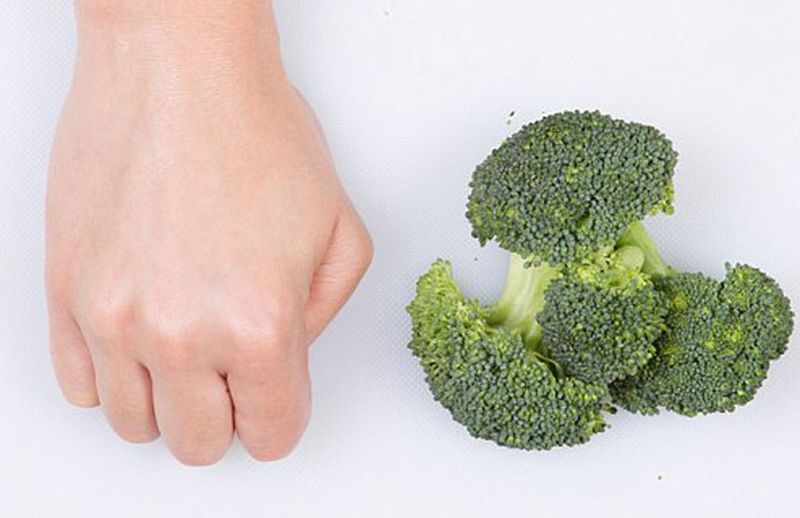 Сколько нужно съесть, чтобы похудеть: измеряем порции по размеру руки