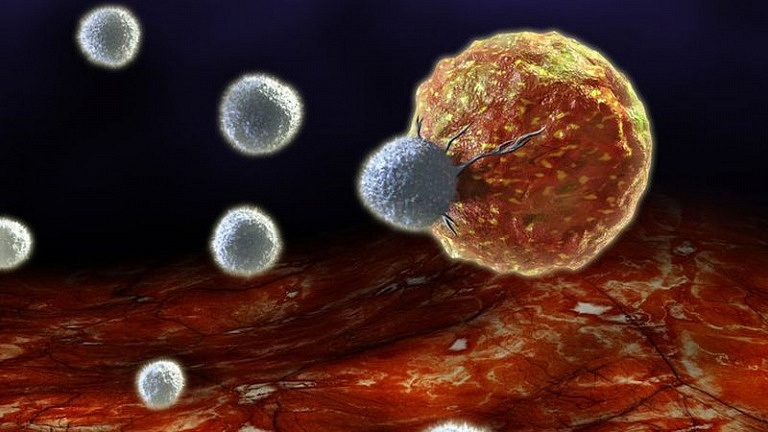 Новый способ излечения от рака, основанный на принципе поедания больными клетками самих себя