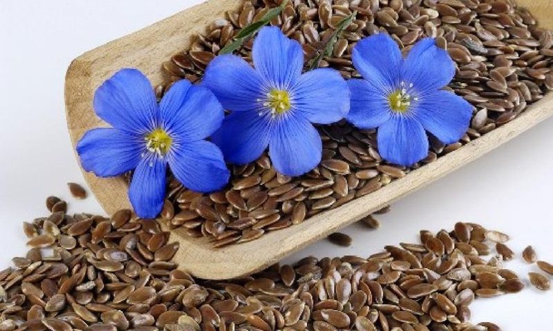 Полезные свойства льняного семени для женщин старше 35