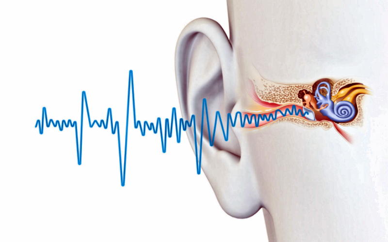 Побороть шум в ушах и головные боли: рецепт известного австрийского доктора Рудольфа Бройса
