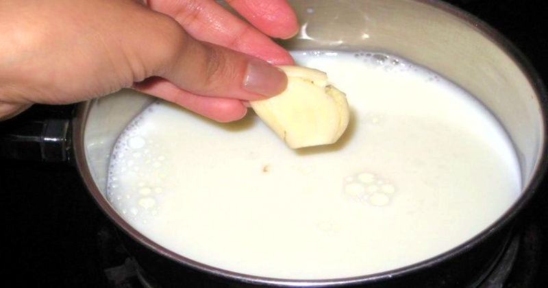 Чеснок, сваренный в молоке: старинное народное средство против множества недугов