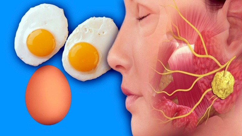 Что удивительного произойдет с вашим телом, если каждый день съедать по 3 яйца