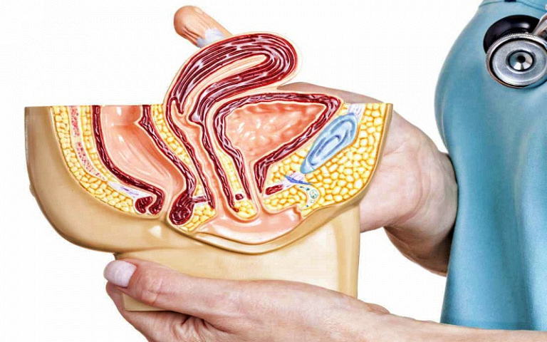 Рак влагалища: ученые указывают на 10 научно обоснованных причин