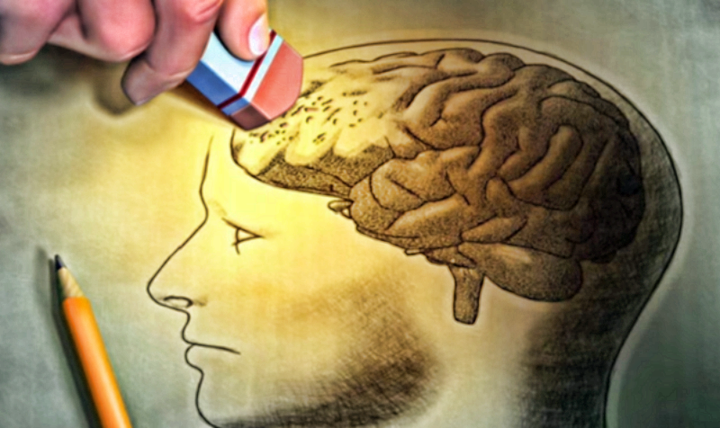 Отличный вариант нагрузить свой мозг: быстрый тест на проверку памяти
