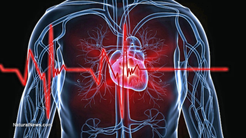 Ученые установили, что диетическая кола - большое зло для сердца и смута для мозга