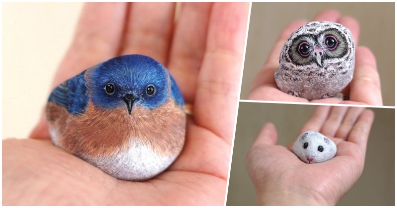 Японская художница творит чудеса и камни в руках стают животными