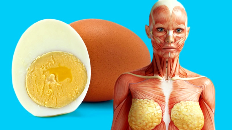 Что приятного случится со здоровьем, если каждый день кушать по 2 яйца