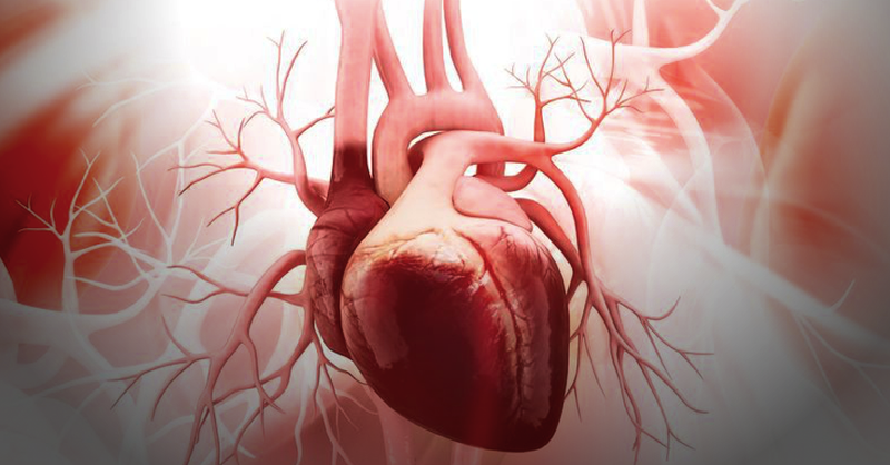 Приступ тахикардии: 2 быстрых способа угомонить сердце без лекарств