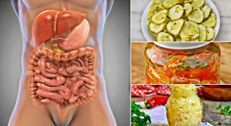 Натуральные пробиотики для кишечника: 10 продуктов от проблем с пищеварением