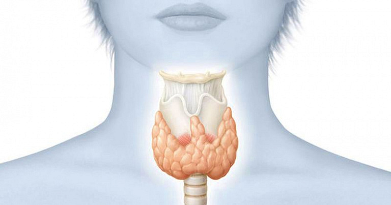 18 признаков заболевания щитовидной железы: как узнать, что ваша щитовидка на пределе или слишком ленива