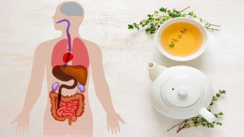 Народный напиток от рака, инсульта, ожирения и диабета: 10 полезных свойств зеленого чая