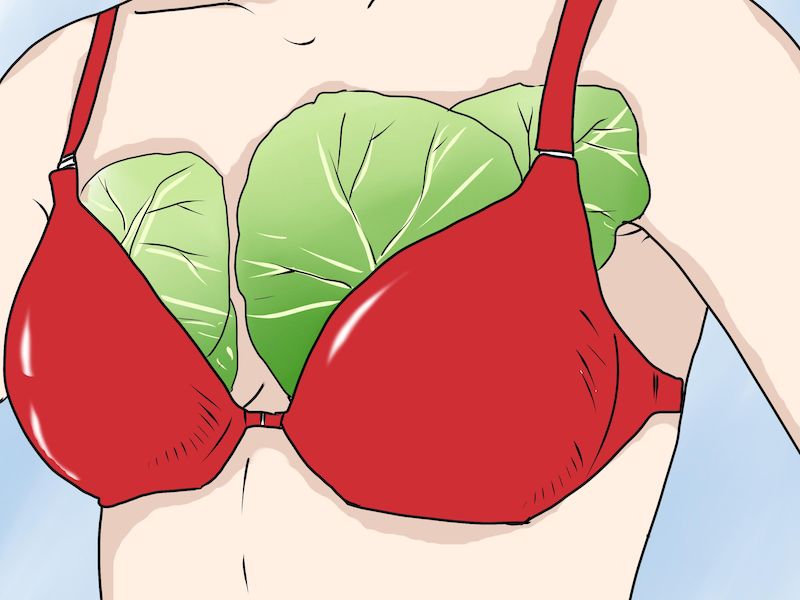 Капустный лист от семи недуг: чем листья капусты полезны для женщины