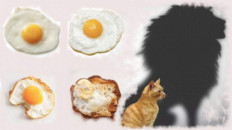 Тест укажет на лучшие черты характера: достаточно указать, как вы любите жарить яйца