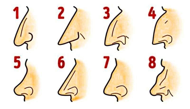 Греческий или с горбинкой: что форма носа расскажет о вашем непростом характере