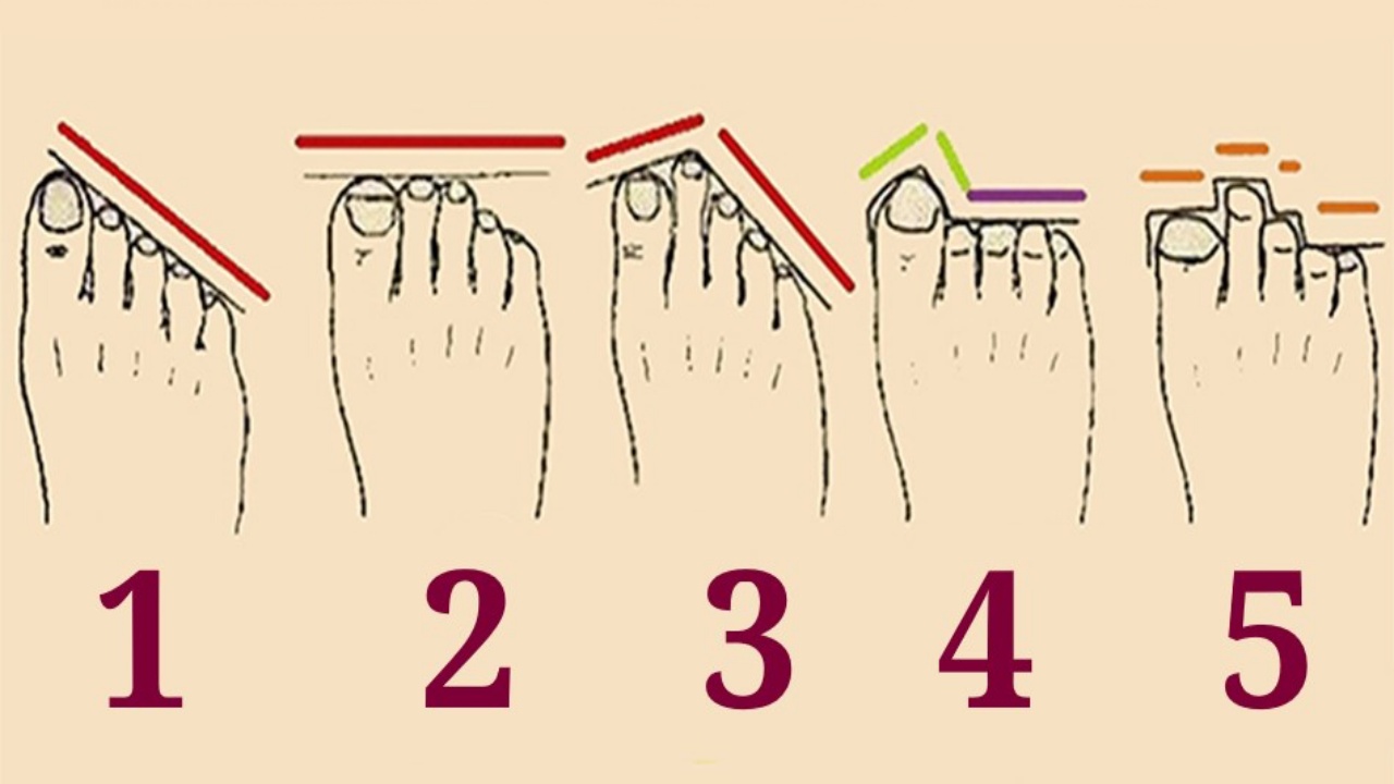 Виды пальцев. Форма пальцев на ногах по рассе. Греческая форма стопы у девушек. Греческая форма пальцев рук. Сопаж форма стопы.