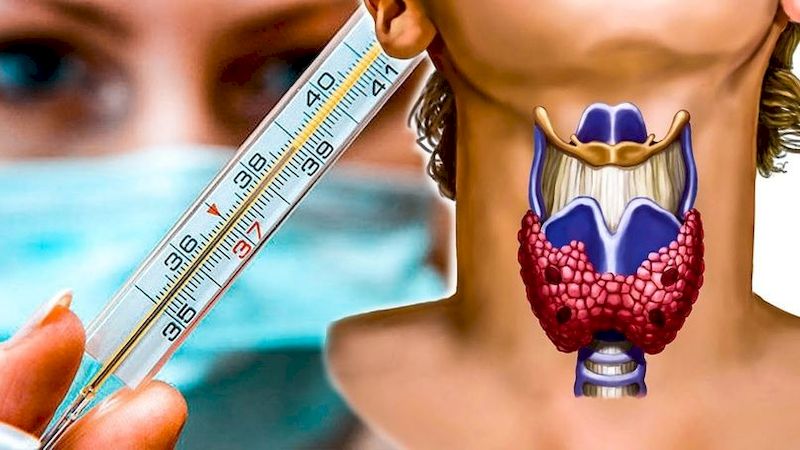 Тест Барнса: как определить здоровье щитовидки с помощью градусника