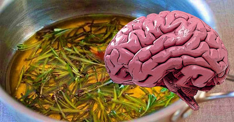 Понюхать розмарин и улучшить память на 75%: 15 продуктов питания для мозга и зрения