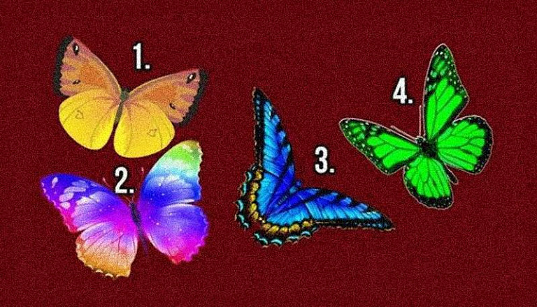 Бабочка желаний знает о вас все: пройдите психологический тест на личность и узнайте сами