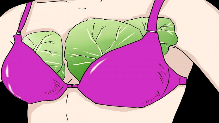 Овощ, вытягивающий хворь словно магнитом: как использовать листья капусты, если болит грудь