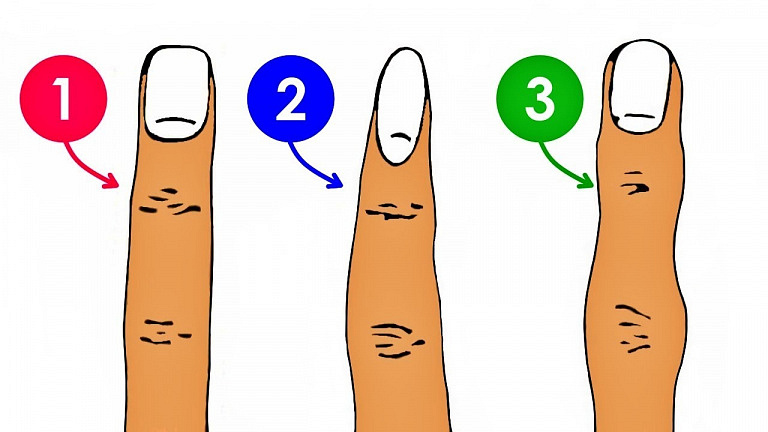 Форма среднего пальца может многое рассказать про ваш непростой характер