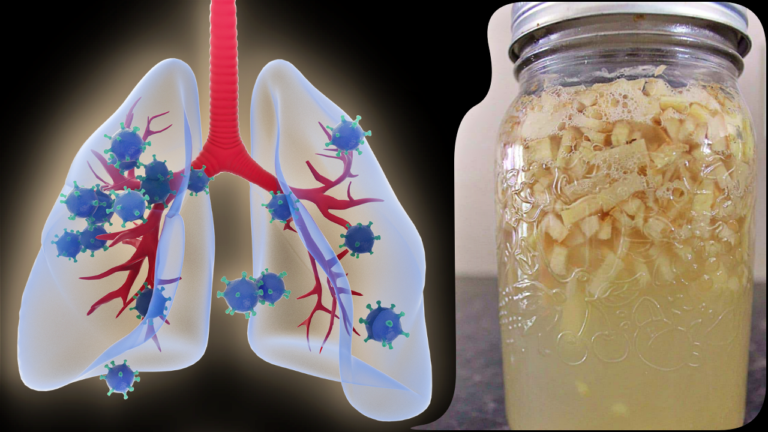 Ферментированный имбирный лимонад: как приготовить натуральный напиток для энергии и повышения иммунитета