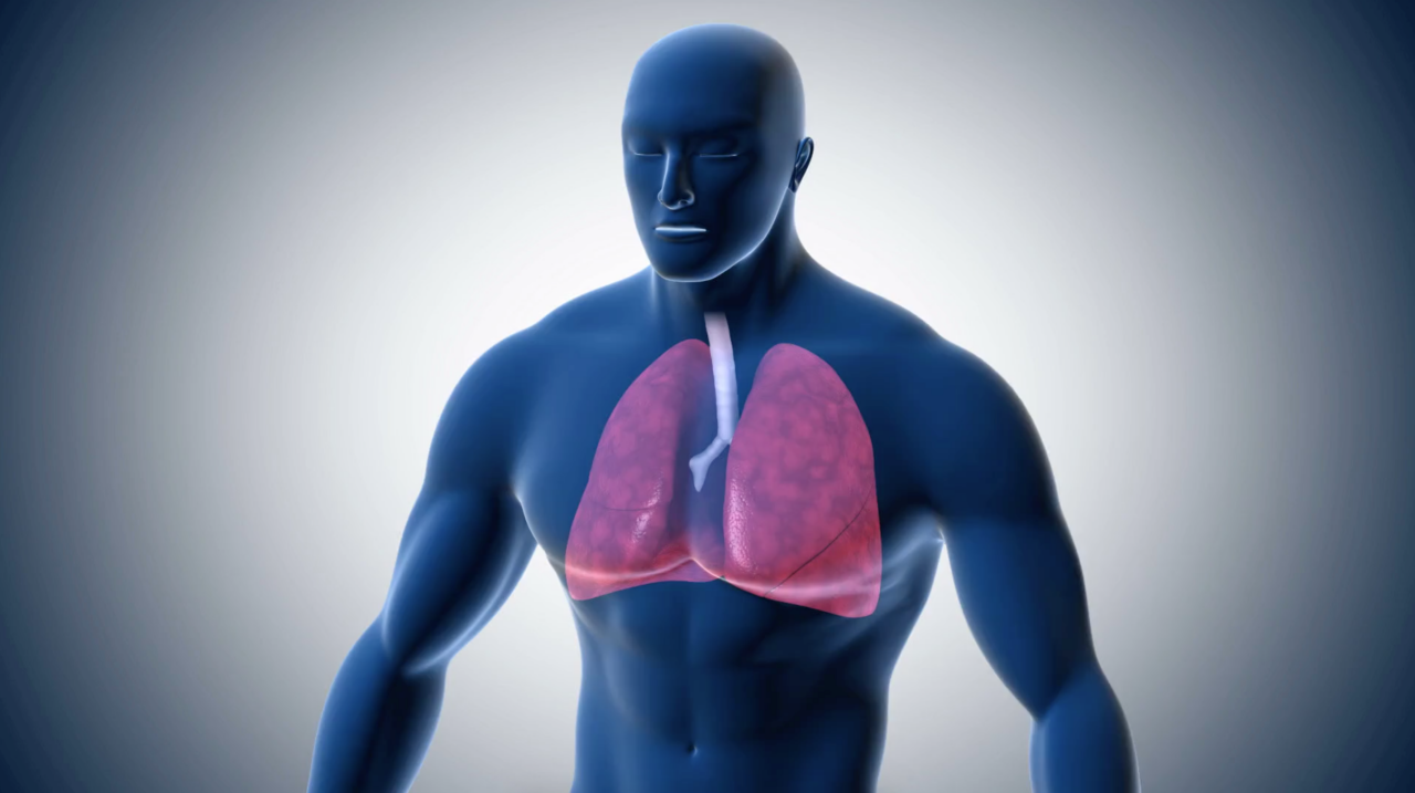 Легкие человека в спорте. Человек тренирует легкие. Как улучшить дыхалку и легкие.