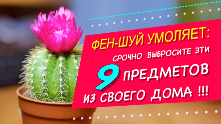 Какие 9 вещей в вашем доме притягивают неудачу: советы фен-шуй, что нельзя держать дома