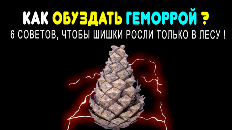 Как обуздать геморрой: 6 советов, чтобы шишки росли только в лесу