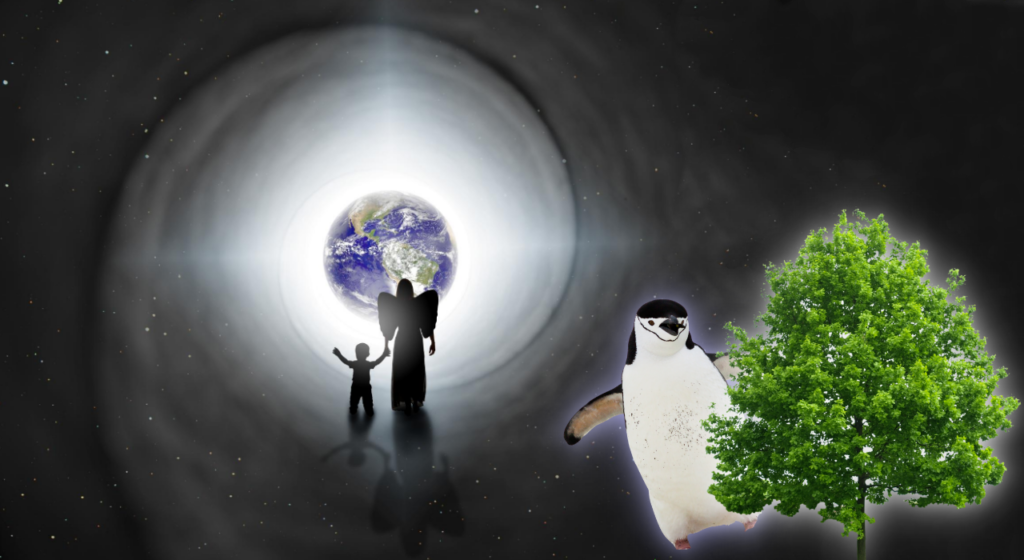 Кем вы были в прошлой жизни – пингвином или деревом?