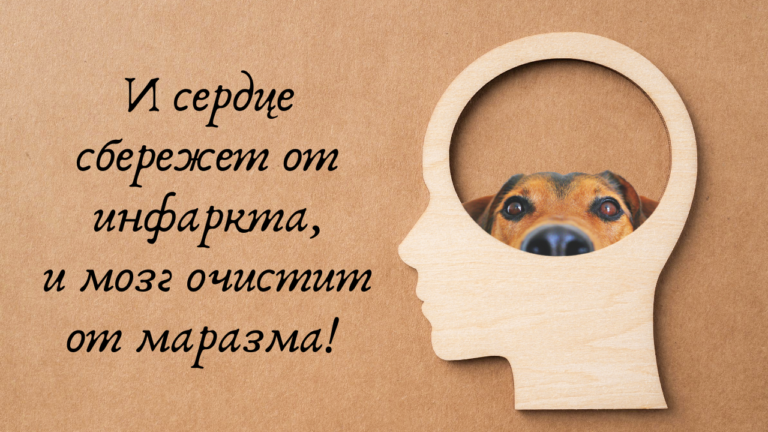 Как домашние животные освежают мозг, контролируют вес и оберегают нас от инфарктов-инсультов