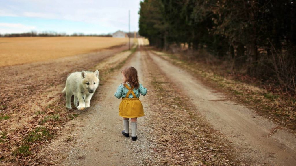 Девочка спасла волчонка-сироту – но никто и подумать не мог, как он отблагодарит ее спустя годы