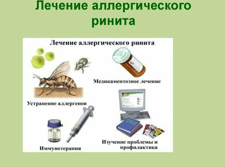 Аллергический ринит: симптомы, диагностика и лечение в Санкт-Петербурге